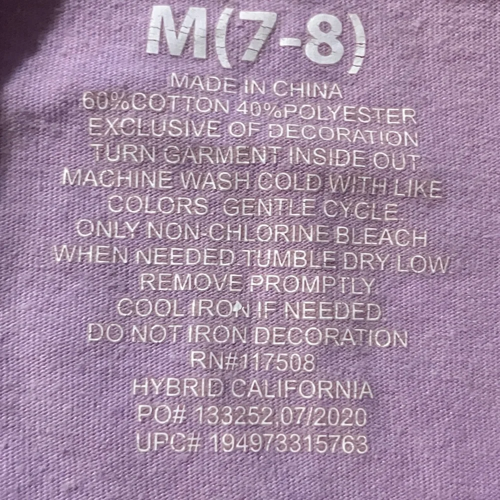 Disney Minnie Mouse and Gang with Mountain Background Lilac‎ Tee